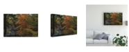 Trademark Global Kurt Shaffer Yellow Maples and Hemlocks Canvas Art - 15" x 20"